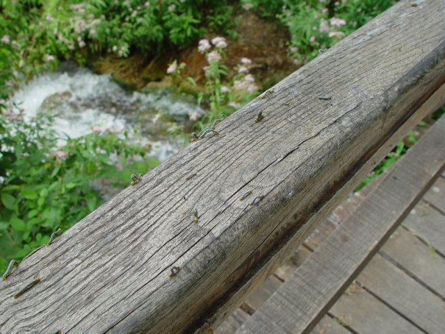b5a16ae984ac1d514c.jpg