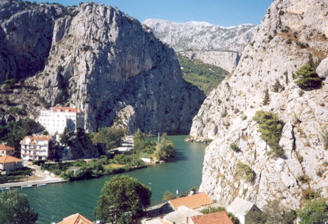 omis1