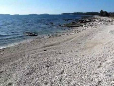 Пляжы Ровиня: VILLAS RUBIN Видео
